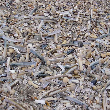 Haus Nordseeresidenz 67 Lejlighed